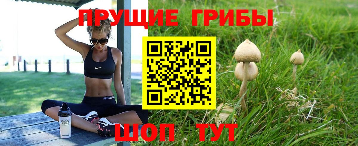 Галлюциногенные грибы Psilocybe Конаково