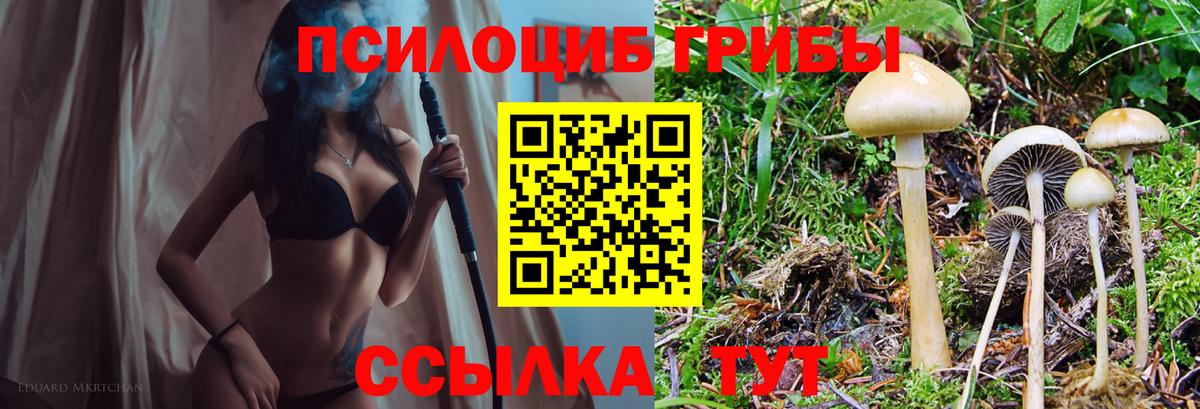 как найти закладки  Вход с VPN  Конаково  Галлюциногенные грибы прущие грибы 